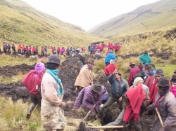 la minga: herencia ancestral, camino de victoria 