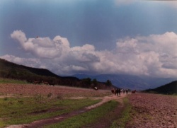 Actual campo donde se desarroll? la Batalla de Salta el 20-2-1813