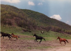 Actual campo donde se desarroll? la Batalla de Salta el 20-2-1813