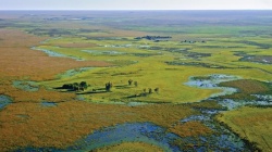 Lagunas y Esteros del Iber?: sector de Yaguaret? Cor? 