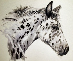 El "appaloosa" Mancha