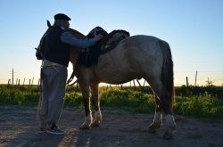 Angel Hechenleitner en Carmen de Patagones, Provincia de Buenos Aires, en 2016