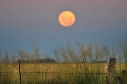 Luna en la llanura