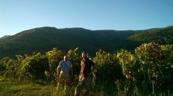 Leo y Carlos, muralistas y viñateros por viñedos gallegos