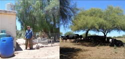 Don Quintero: Agua, luz eléctrica y vacas, después de las hachas y el carbón. Foto diciembre de 2016.