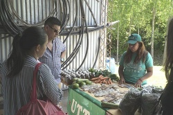 Uni?n de Trabajadores de la Tierra: El camino para alimentarse con vegetales cultivados sin abonos qu?micos ni pesticidas y pagando un precio justo, no el decidido por las maffias del mercado central.