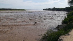  "...se hace hilo y luego se hace toro de agua, embravecido..."